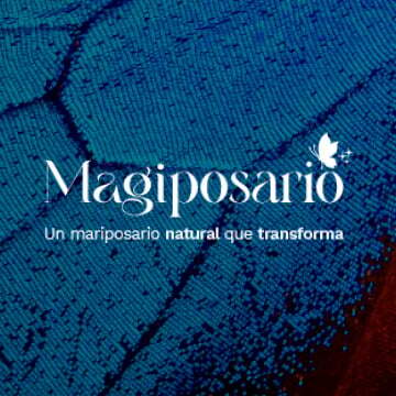 bg-mariposario-full-1