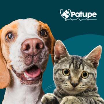 bg-patupe-full