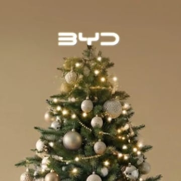 bg_byd_we_christmas