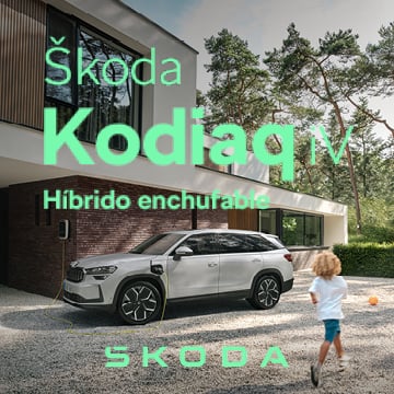 bg_skoda_skin