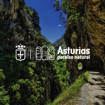 bg_turismoasturias_streetview